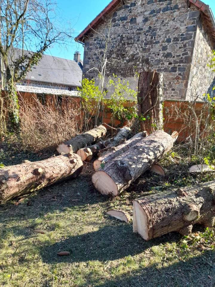 Récupération bois Puy de Dôme