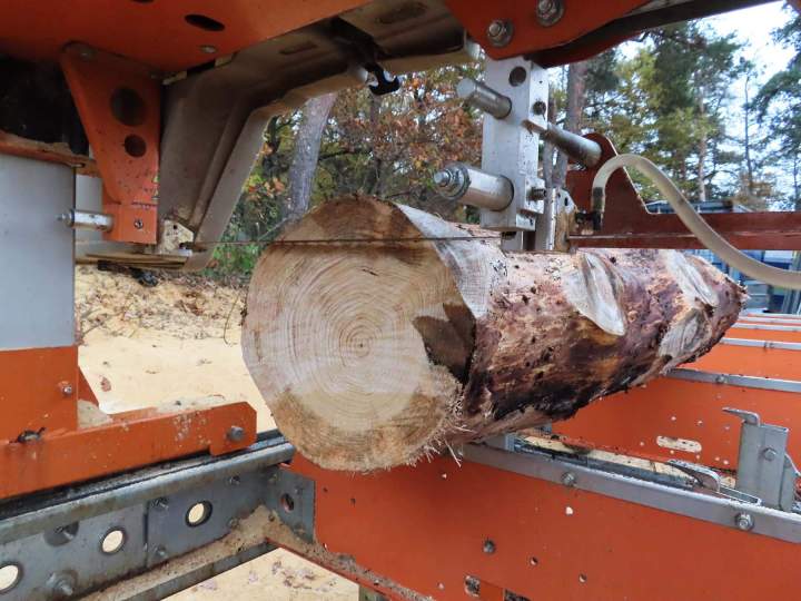 Sciage bois Puy de Dôme