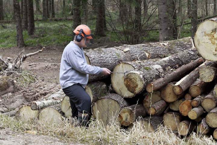 Transformation de bois en produits finis Puy-de-Dôme