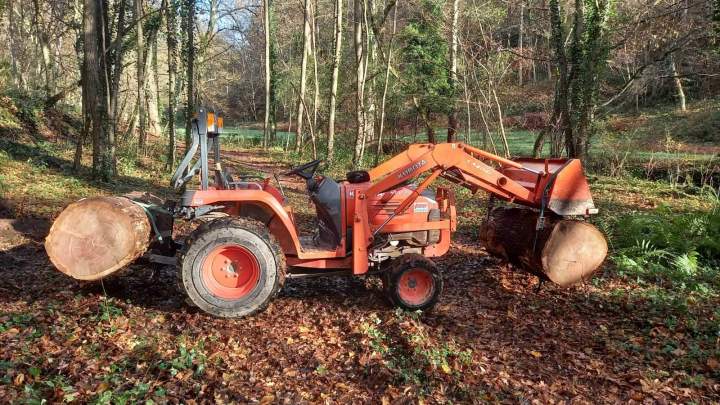 Récupération du bois Puy-de-Dôme