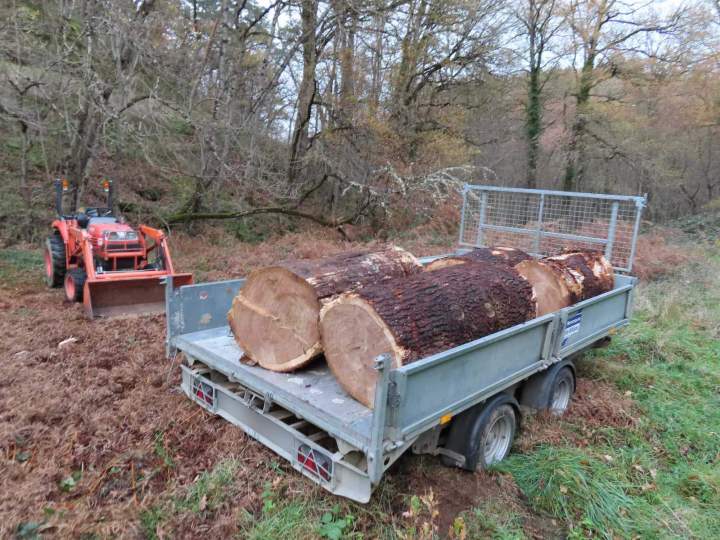 Transport et valorisation du bois Puy-de-Dôme